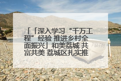 「深入学习“千万工程”经验 推进乡村全面振兴」和美荔城 共富共美 荔城区扎实推进乡村振兴工作